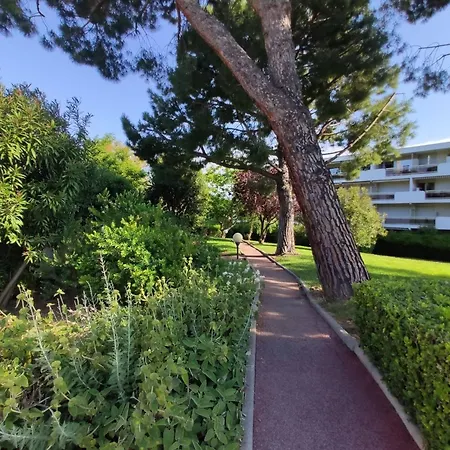 Avec Vue Mer, Piscine, Tennis Et Parking - - Fr-1-252-159